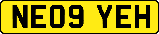 NE09YEH