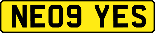 NE09YES