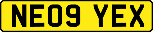 NE09YEX