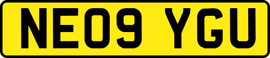 NE09YGU