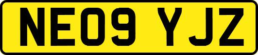 NE09YJZ