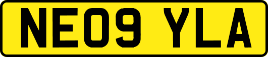 NE09YLA