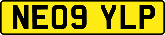 NE09YLP