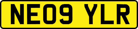 NE09YLR