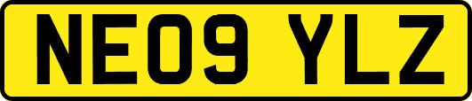NE09YLZ