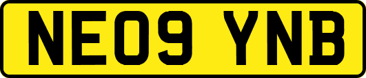 NE09YNB