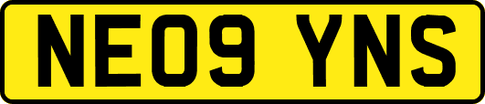 NE09YNS