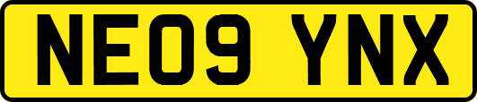NE09YNX