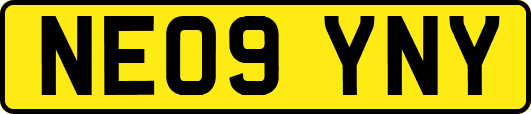 NE09YNY