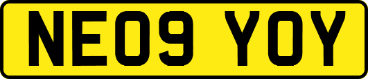 NE09YOY