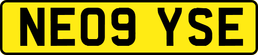 NE09YSE