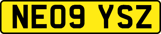 NE09YSZ
