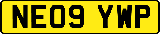 NE09YWP