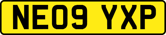 NE09YXP