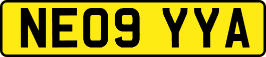 NE09YYA