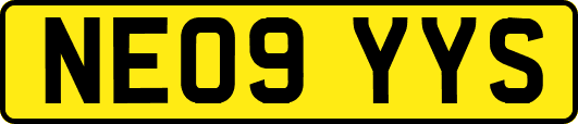 NE09YYS