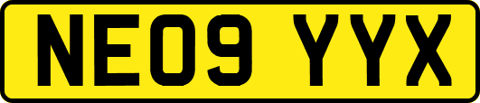 NE09YYX
