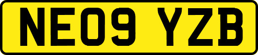 NE09YZB