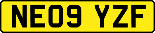 NE09YZF