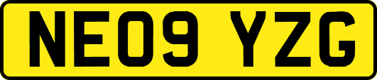 NE09YZG