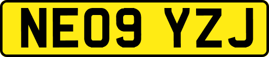NE09YZJ