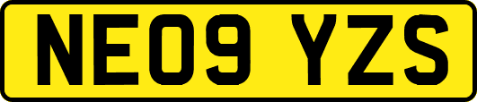 NE09YZS