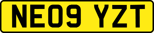 NE09YZT