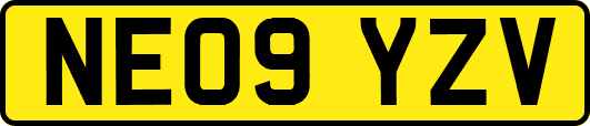 NE09YZV