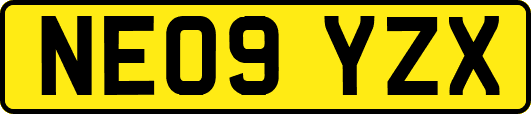 NE09YZX