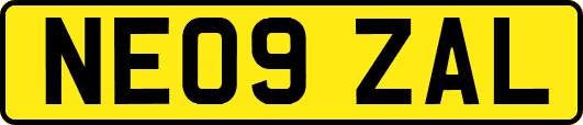 NE09ZAL