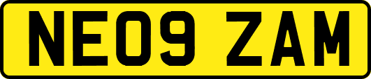 NE09ZAM