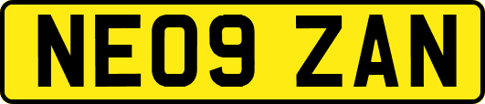 NE09ZAN