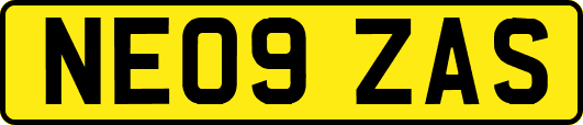 NE09ZAS