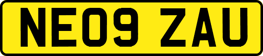 NE09ZAU