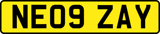 NE09ZAY