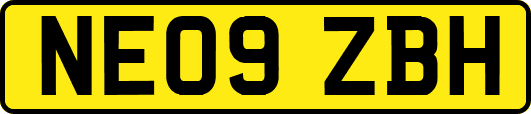 NE09ZBH