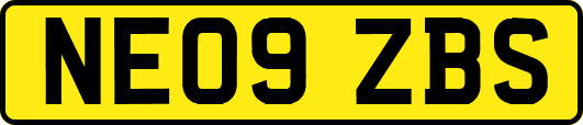 NE09ZBS