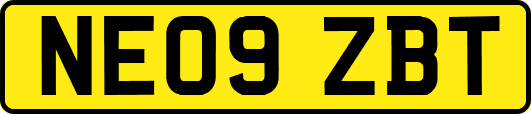 NE09ZBT