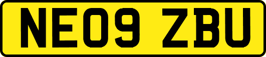 NE09ZBU