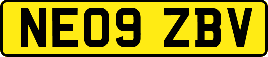 NE09ZBV
