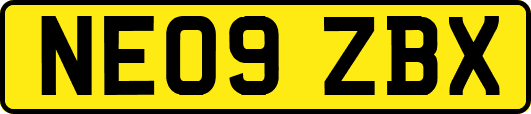 NE09ZBX