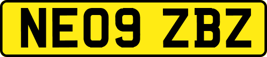 NE09ZBZ