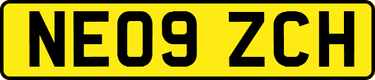 NE09ZCH