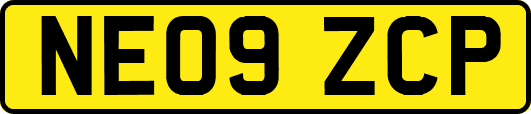 NE09ZCP