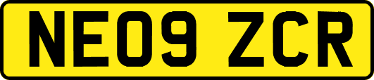 NE09ZCR