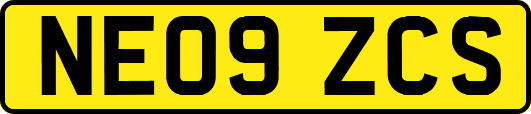 NE09ZCS