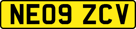NE09ZCV
