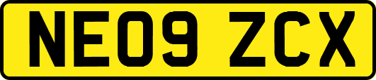 NE09ZCX