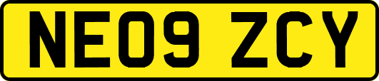 NE09ZCY