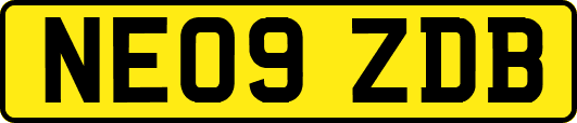 NE09ZDB